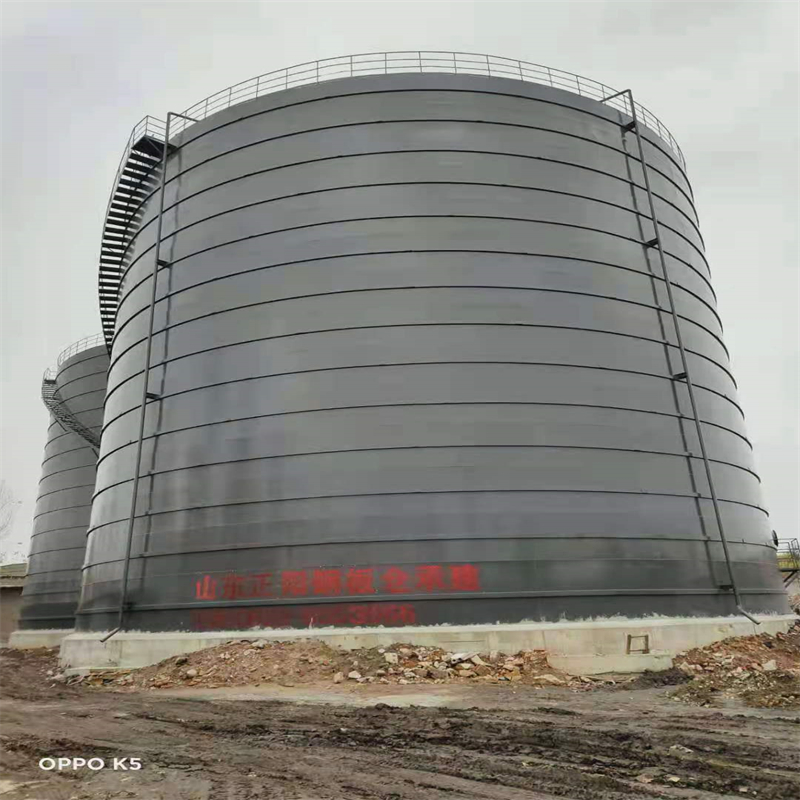 大安3万吨大型钢板库