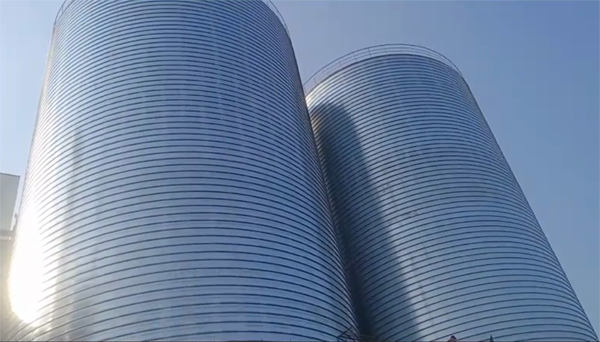 大安2座混凝土高架卷板仓